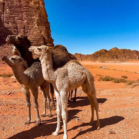 Wadi Rum Polaris Camp Luaran gambar