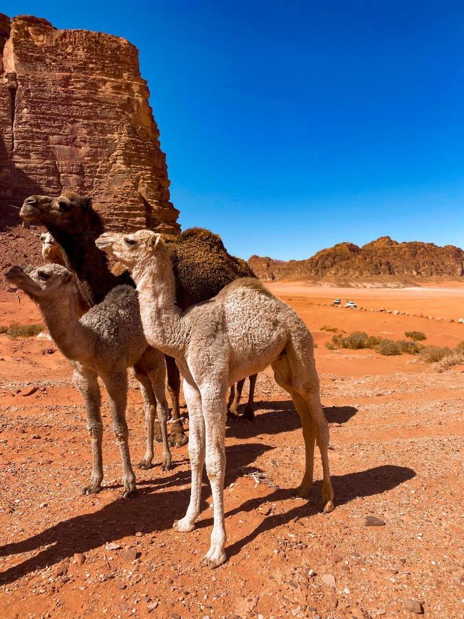 Wadi Rum Polaris Camp Luaran gambar